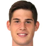 Aleksandar Milicevic
