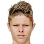 Arturs Strazdins