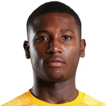 Chituru Ethan Odunze Photo