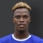 D. Dodo