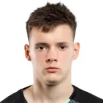D. Fesyuk