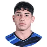N. Cárcamo