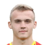 K. Panek