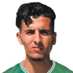 M. Bahadi Photo