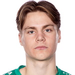 N. Arvidsson Photo