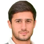 N. Gigolaev