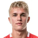 N. Pedersen