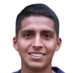 P. Castillo