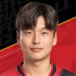 Bae Seung-Jin