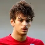 V. Pala