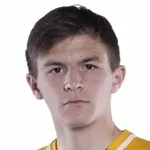 V. Shvyrev