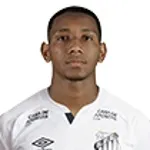 Wellington Carioca