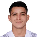 Y. Erique