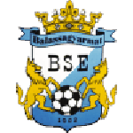 Balassagyarmat VSE logo