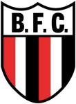 Botafogo SP Logo