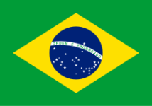 Brazil U17 Logo