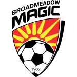 Broadmeadow Magic Logo