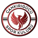 Cankirigucu logo