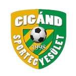 Cigand SE logo