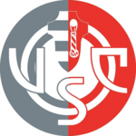 Cremonese U19 Logo