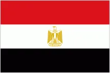Egypt W logo