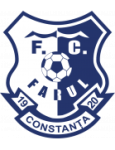 FCV Farul U19 logo