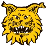 Ilves IV