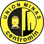 Minas logo