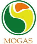 Mogas 90