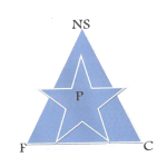 New Star logo