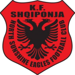 North Sunshine Eagles Logo