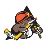 Shakhtyor Res. Logo
