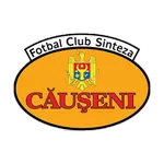 Sinteza Căuşeni