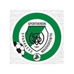 Waidhofen / Thaya logo