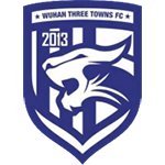 Wuhan Three Towns Logo