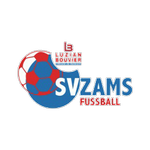 Zams Logo