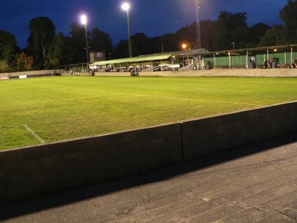 Fetcham Grove Estádio