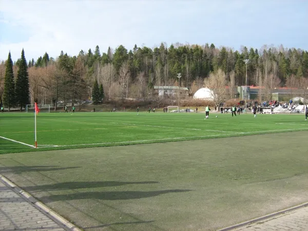 Kisapuiston tekonurmi Estádio